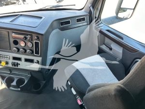 2020 FREIGHTLINER CASCADIA 126 9021545788