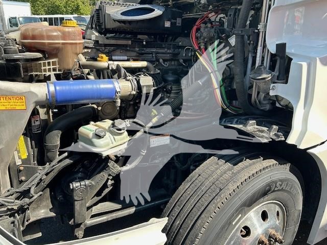 2020 FREIGHTLINER CASCADIA 126 9021545793